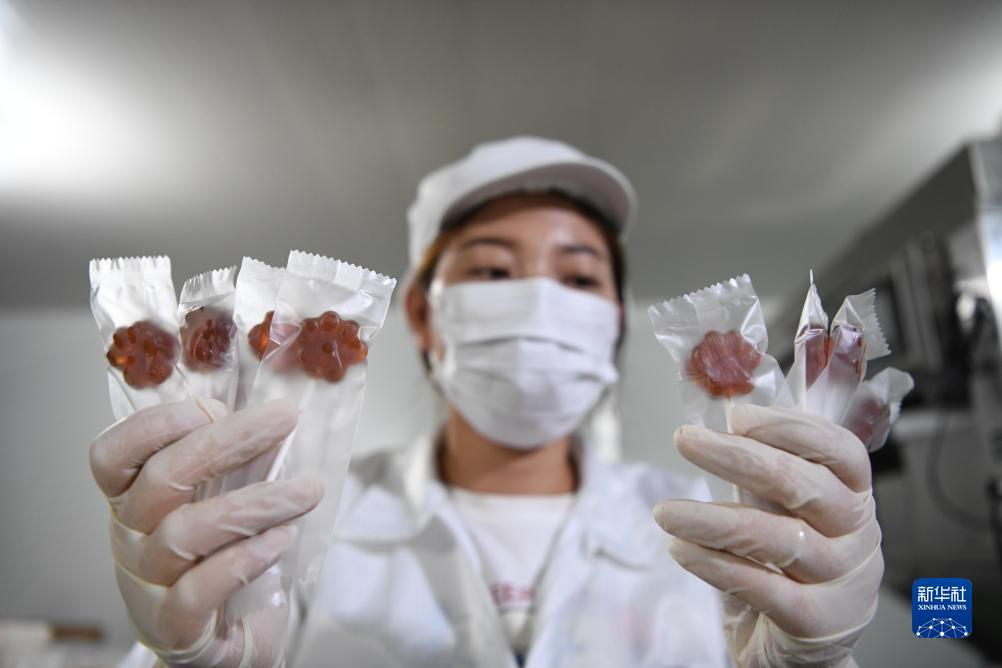 菠菜客户端